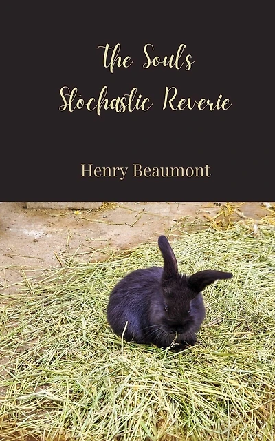 The Soul's Stochastic Reverie