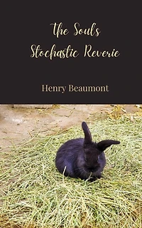 The Soul's Stochastic Reverie