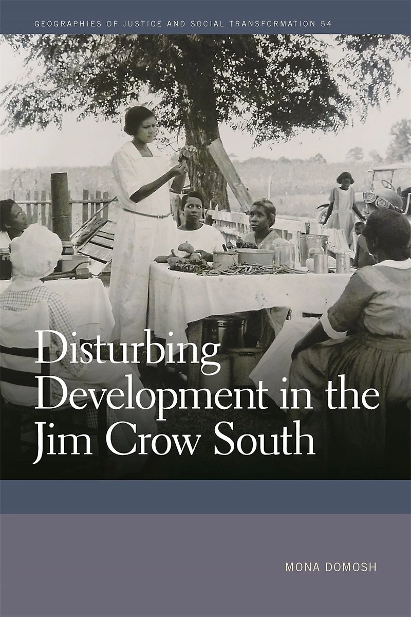 Disturbing Development the Jim Crow South