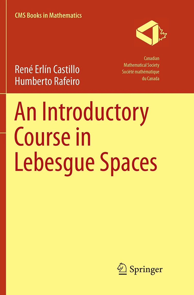 An Introductory Course Lebesgue Spaces