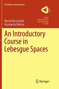 An Introductory Course Lebesgue Spaces