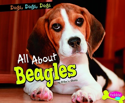 All about Beagles