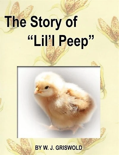 The Story Of "lil'l Peep"