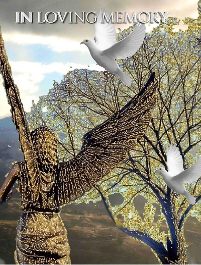 Angel White Doves New Zealand stunning landscape Remberance Funeral Blank page guest book: book