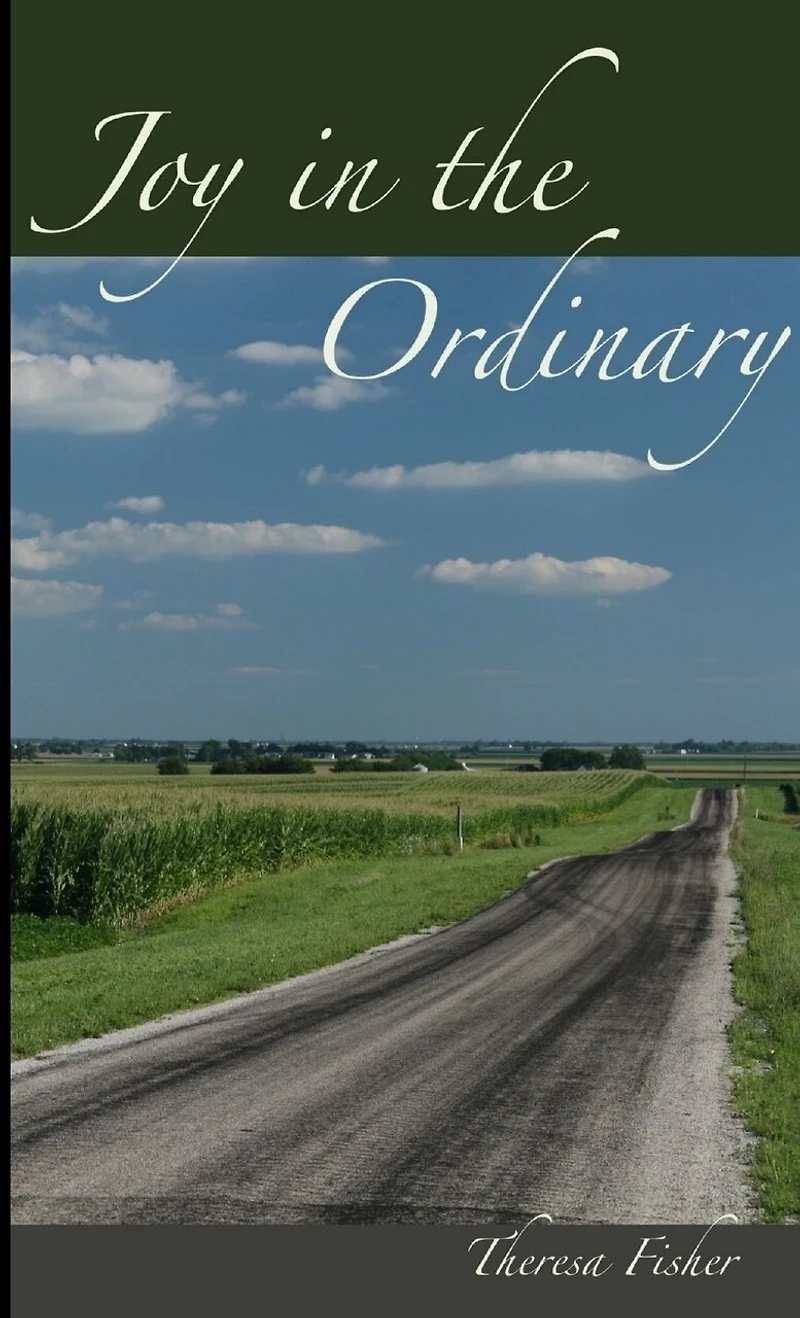 Joy in the Ordinary