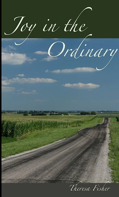 Joy in the Ordinary