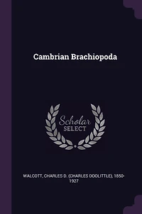 Cambrian Brachiopoda