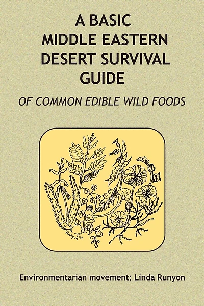 A Basic Middle Eastern Desert Survival Guide