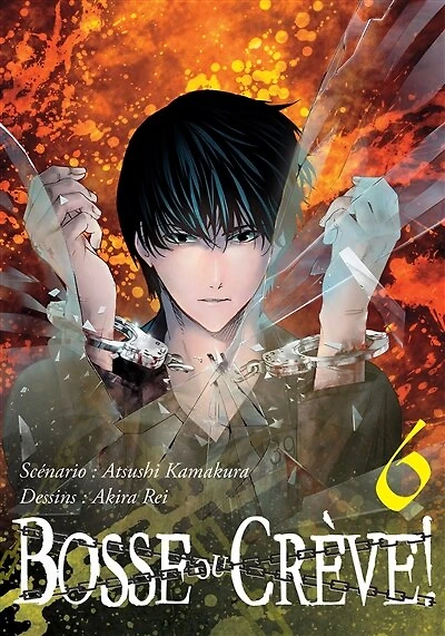 Bosse ou crève !, Vol. 6
