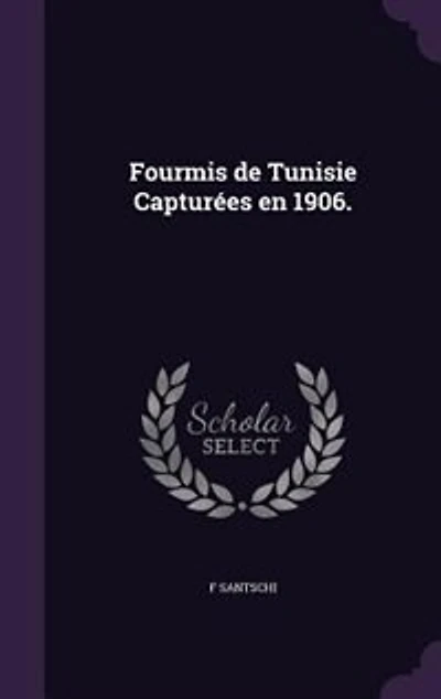 Fourmis de Tunisie Capturées en 1906.