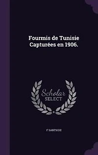 Fourmis de Tunisie Capturées en 1906.