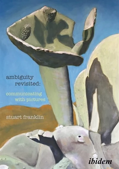 Ambiguity Revisited: Communicating With Pictures