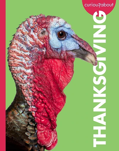 Curious about Thanksgiving
