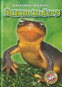 Salamanders
