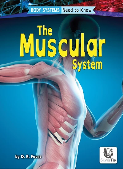 The Muscular System