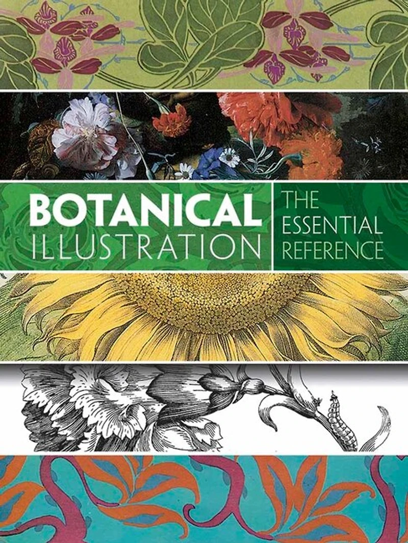 Botanical Illustration: The Essential Reference
