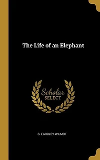 The Life of an Elephant