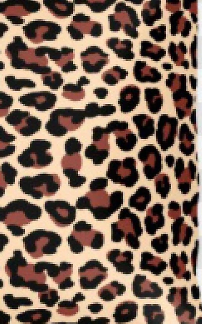 Leopard Sir Michael Designer Writing Drawing Journal: Leopard writing drawing Journal