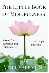 The Little Book of Mindfulness