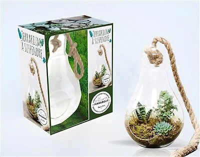 Ampoule terrarium