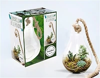Ampoule terrarium