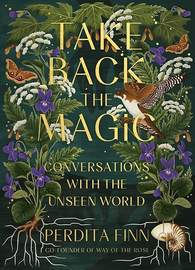 Take Back the Magic: Conversations with Unseen World