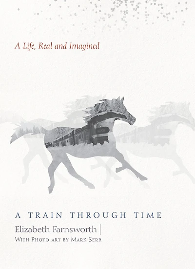 A Train through Time: Life, Real and Imagined