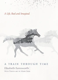 A Train through Time: Life, Real and Imagined