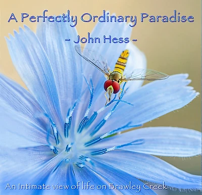 A Perfectly Ordinary Paradise: An Intimate View Of Life On Brawley Creek