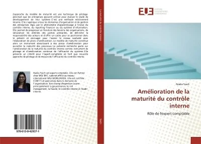 Amélioration de la maturité du contrôle interne: Rôle de l'expert comptable
