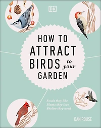 How to Attract Birds Your Garden: Foods they like, plants love, shelter need
