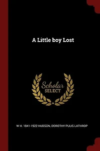 A Little boy Lost