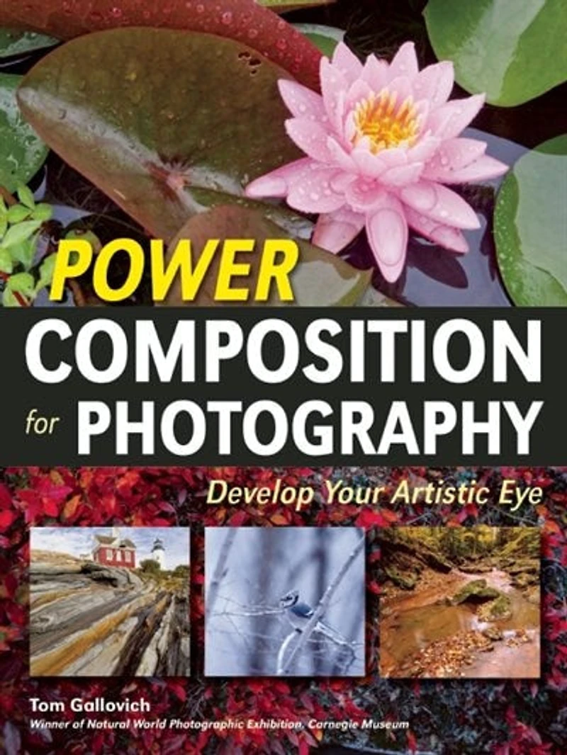 Power Composition for Photography: Develop Your Artistic Eye