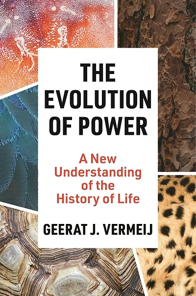 the Evolution of Power: A New Understanding History Life