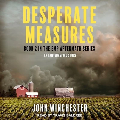 Desperate Measures Lib/E: An Emp Survival Story