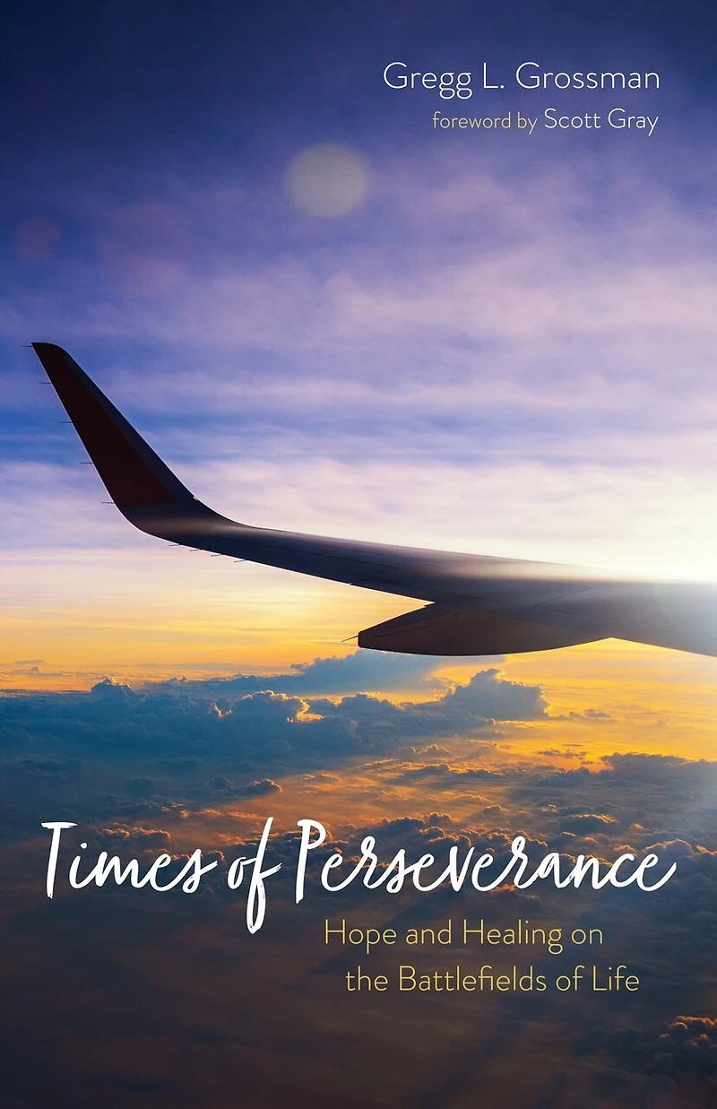 Times of Perseverance: Hope and Healing on the Battlefields Life