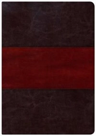 KJV STUDY BIBLE LARGE PRINT EDITION, SADDLE BROWN LEATHERTOUCH