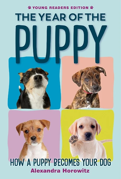 the Year of Puppy: How a Puppy Becomes Your Dog