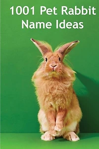 1001 Pet Rabbit Name Ideas: The most popular, quirky, and fun names you could give your pet rabbit!