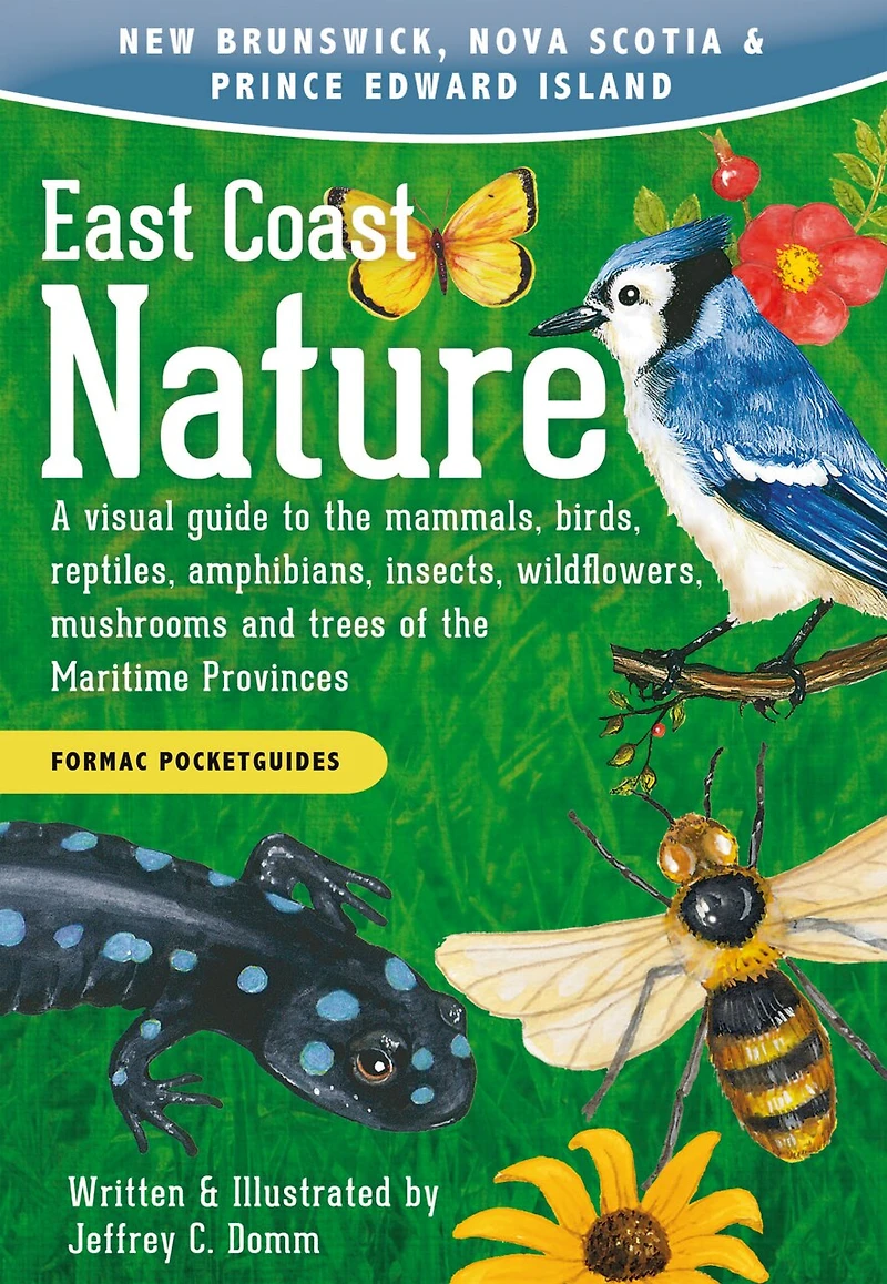 East Coast Nature: A visual guide to the mammals, birds, reptiles, amphibians, insects, wildflowers, mushrooms and trees of Maritime Provinces