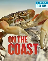 On the Coast