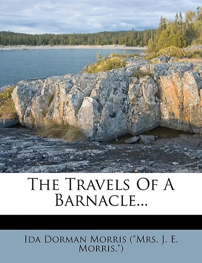 The Travels Of A Barnacle
