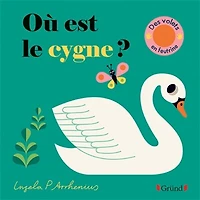 Où est le cygne ?