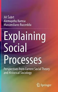 Explaining Social Processes: Perspectives From Current Theory And Historical Sociology
