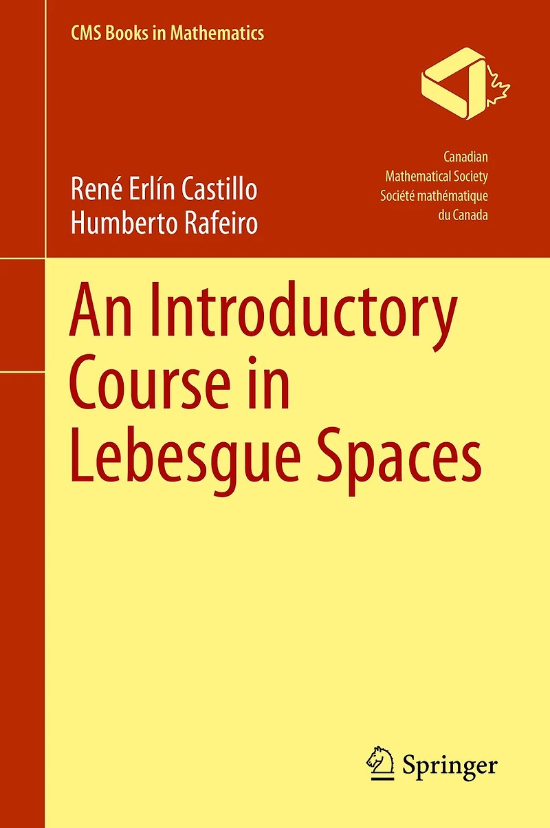 An Introductory Course Lebesgue Spaces