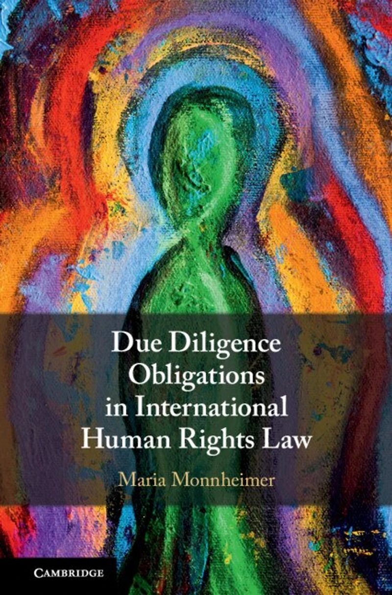 Due Diligence Obligations International Human Rights Law
