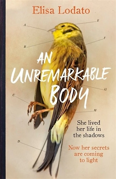 An Unremarkable Body: a stunning literary debut with twist