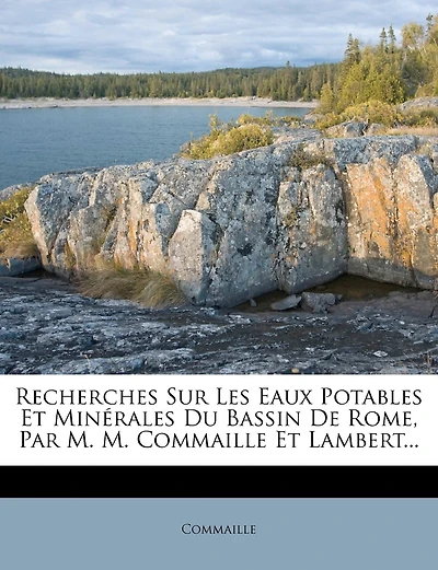 Recherches Sur Les Eaux Potables Et Minérales Du Bassin De Rome, Par M. M. Commaille Et Lambert...