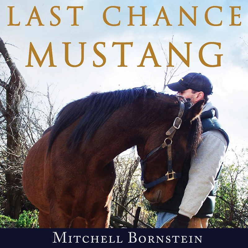Last Chance Mustang Lib/E: The Story of One Horse, Horseman, and Final Shot at Redemption