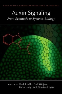 Auxin Signaling: From Synthesis To Systems Biology